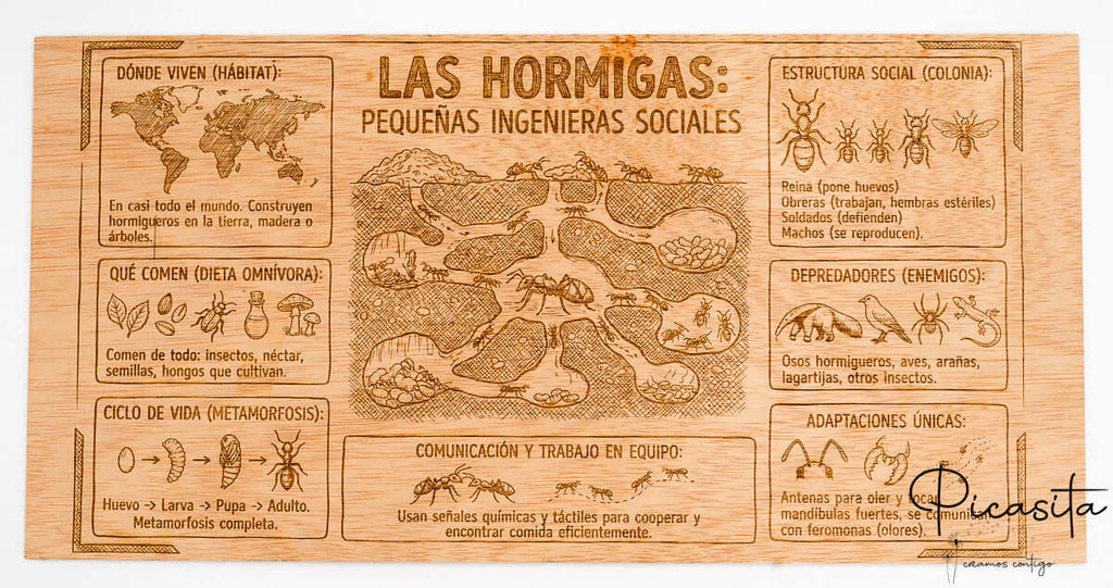 Murales Escolares Originales Grabados en Madera